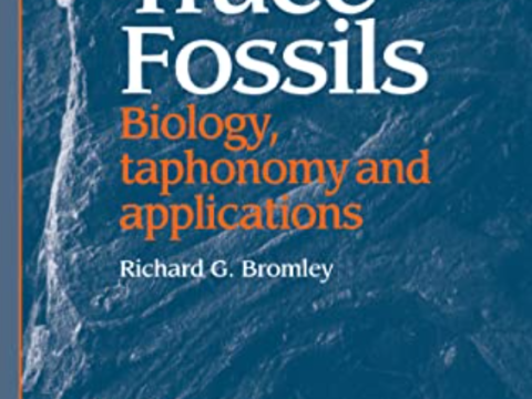 Trace Fossils - Biology, taphonomy and applications - Second Edition