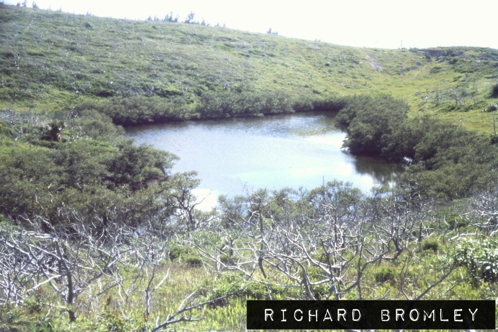 Mangrove Pond - Bermuda 1978